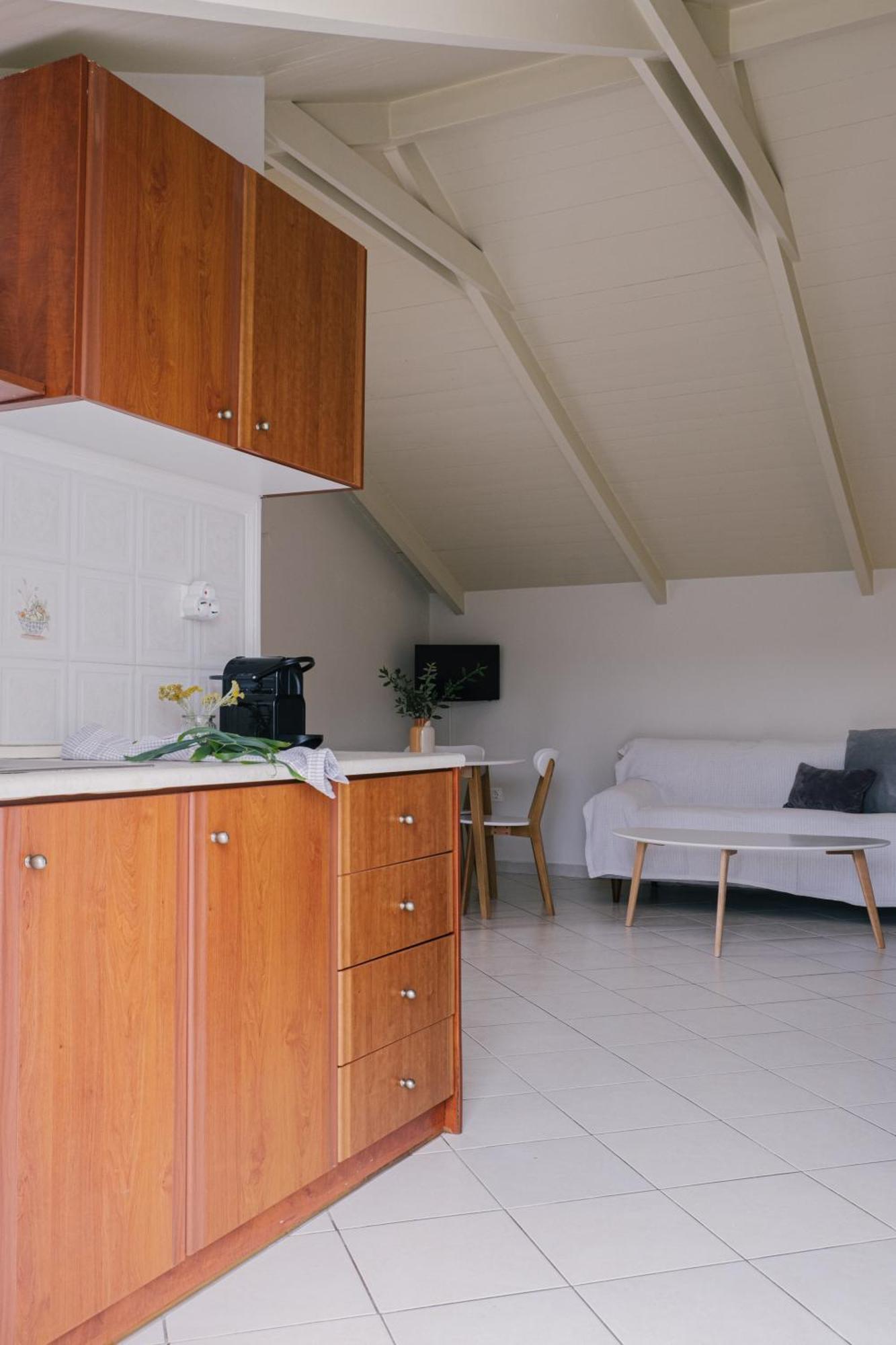 Blue House Apartments Vasilikí Стая снимка